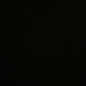 Meet your Posher, Delaney